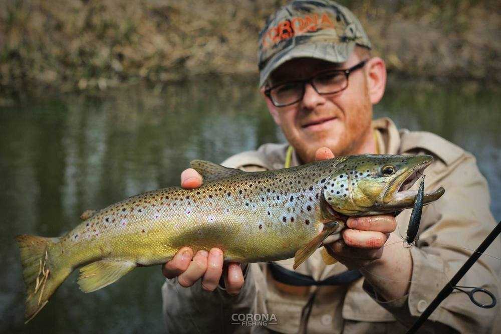 jakie wędki na pstrąga opinie